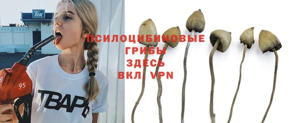 молекула духа Мегион