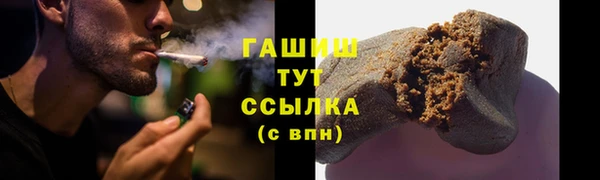прущие грибы Михайлов