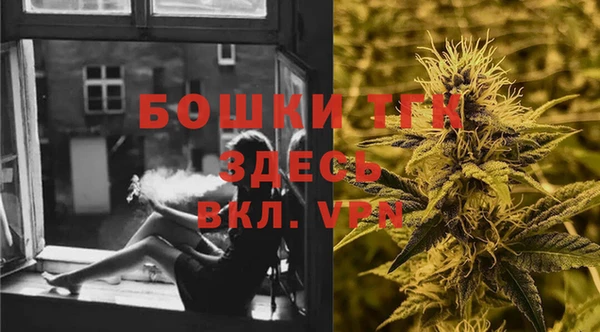 эйфоретик Бородино