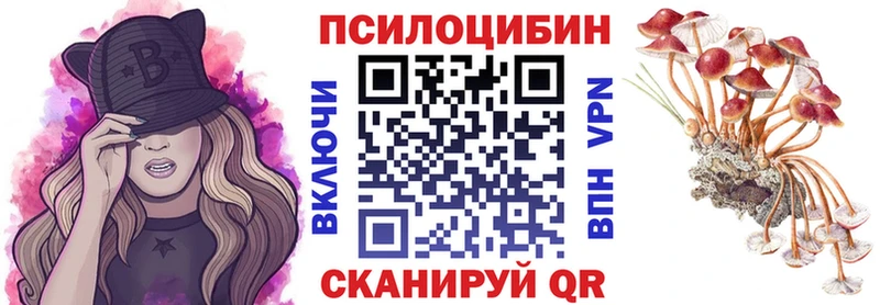 купить  цена  Микунь  Псилоцибиновые грибы мухоморы 